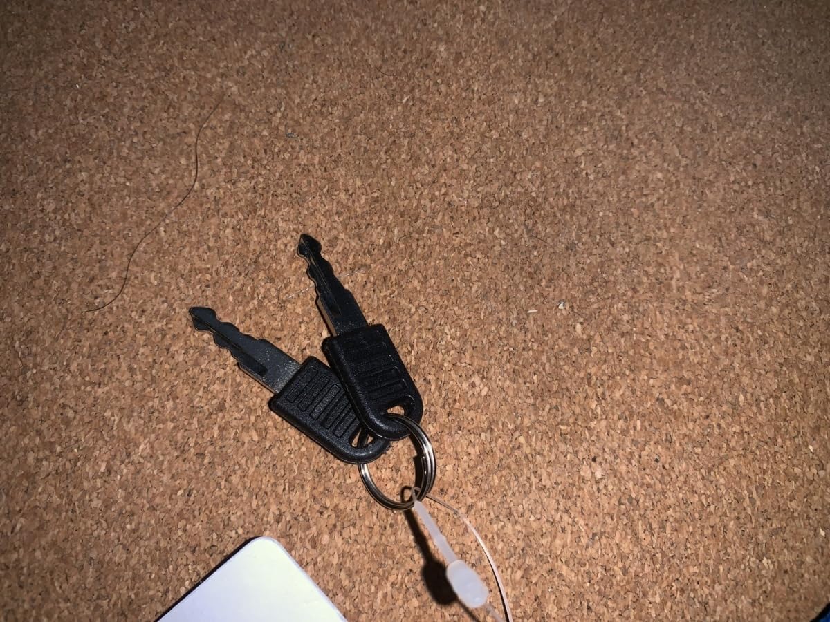 BUMP OF CHICKEN ピック付き ストラップ 3点セット